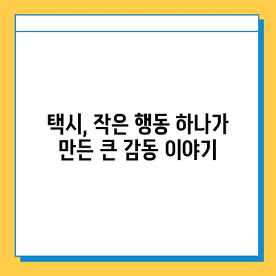 택시에서 잃어버린 지갑, 기적적으로 찾은 감동 실화 | 택시, 분실물, 감동 이야기