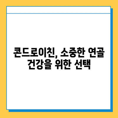 소연골 건강, 콘드로이친으로 지켜내세요! | 관절 건강, 연골 관리, 영양 정보