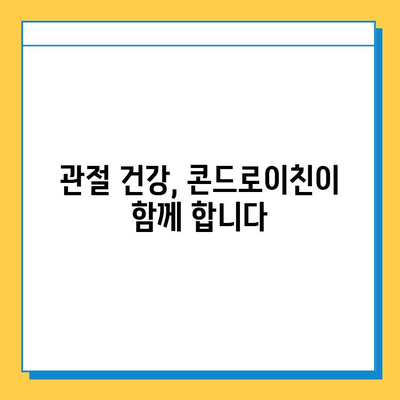 소연골 건강, 콘드로이친으로 지켜내세요! | 관절 건강, 연골 관리, 영양 정보