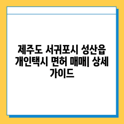 제주도 서귀포시 성산읍 개인택시 면허 매매| 오늘 시세, 넘버값, 자격조건, 월수입, 양수교육 | 상세 가이드