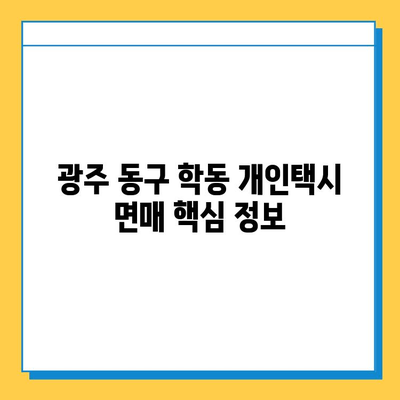 광주 동구 학동 개인택시 면허 매매 가격| 오늘 시세, 넘버값, 자격조건, 월수입, 양수교육 | 상세 정보