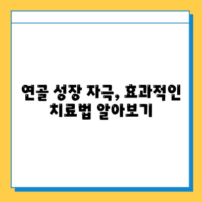 연골 재생, 어떤 방법이 나에게 맞을까요? | 연골 임플란트 vs. 연골 성장 자극, 장단점 비교 및 선택 가이드