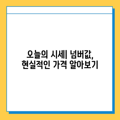 제주도 서귀포시 성산읍 개인택시 면허 매매| 오늘 시세, 넘버값, 자격조건, 월수입, 양수교육 | 상세 가이드