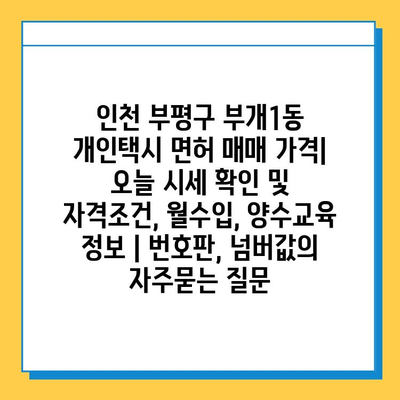 인천 부평구 부개1동 개인택시 면허 매매 가격| 오늘 시세 확인 및 자격조건, 월수입, 양수교육 정보 | 번호판, 넘버값