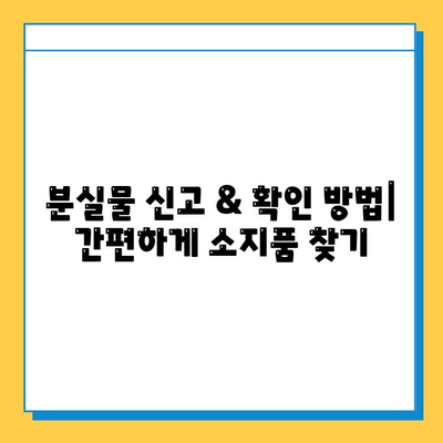 쏠비치 분실물센터에서 소지품 찾는 방법 & 주의 사항 | 분실물, 센터, 연락처, 찾는법