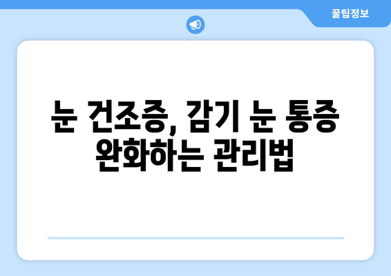 건조한 눈, 감기 눈 통증 해결 가이드| 원인과 관리 방법 | 눈 건강, 안구 건조증, 감기