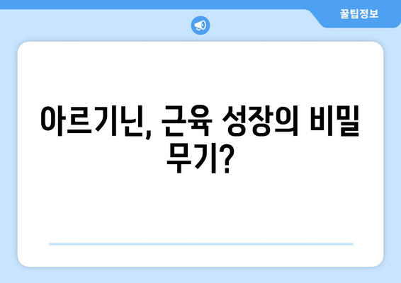 근육 강화, 아르기닌이 정말 효과적인가요? | 근육 성장, 운동, 보충제, 효능, 부작용