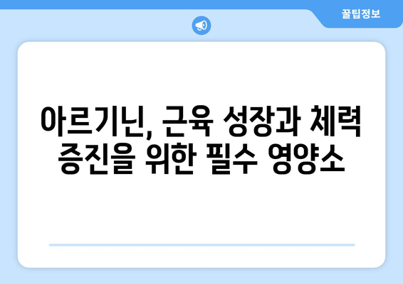 운동 체력 향상을 위한 아르기닌 익스트림 트리플| 효과적인 복용 가이드 | 아르기닌, 운동, 근육 성장, 체력 증진