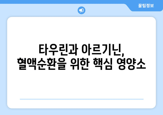 혈액순환 개선에 도움이 되는 타우린 & 아르기닌 풍부 식품 10가지 | 건강, 영양, 혈관 건강, 콜레스테롤