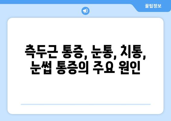 측두근 통증, 눈통, 치통, 눈썹 통증| 원인과 해결책 | 두통, 안면 통증, 신경통