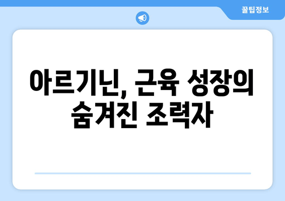 운동 성능 향상을 위한 아르기닌 추천| 효과적인 섭취 방법 및 주의 사항 | 아르기닌 효능, 운동 보충제, 근육 성장