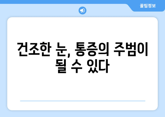 눈 통증과 건조함, 뗄레야 뗄 수 없는 관계? | 눈 건강, 원인 분석, 해결 방안