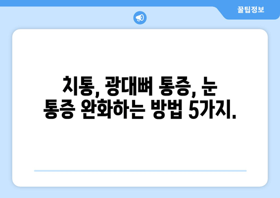 치통, 광대뼈 통증, 그리고 눈 통증| 원인과 해결책 알아보기 | 두통, 안면 통증, 치과 질환