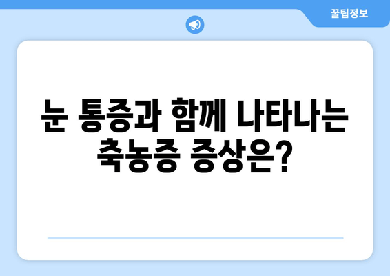 축농증, 눈 통증의 원인은? | 축농증, 눈 통증, 원인, 증상, 치료