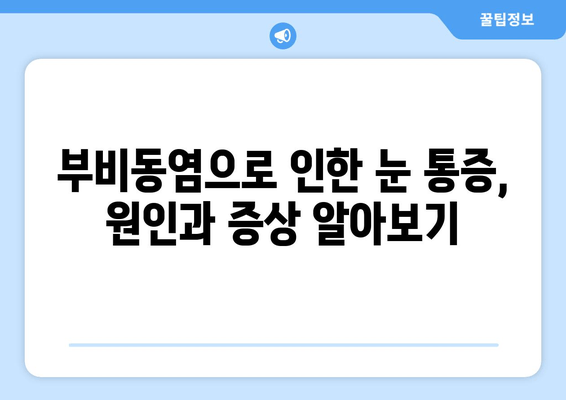 부비동염 눈 통증, 집에서 해결하는 5가지 자가 치료 방법 | 부비동염, 눈 통증, 자가 치료, 완화