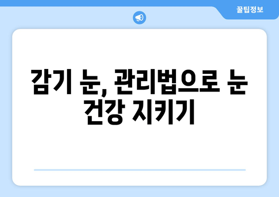 감기눈, 왜 생길까? 원인과 눈 건강 관리법 | 눈 건강, 감기, 컨디션 관리, 눈 관리 팁