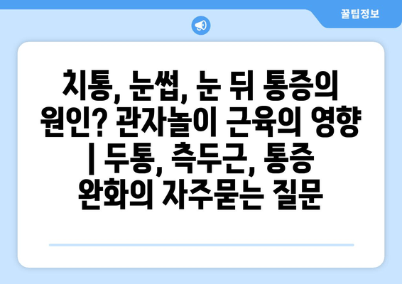 치통, 눈썹, 눈 뒤 통증의 원인? 관자놀이 근육의 영향 | 두통, 측두근, 통증 완화