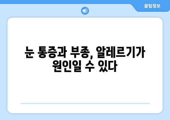 MAST 알러지 검사 결과, 눈 통증과 부종| 원인과 대처법 | 알레르기, 눈 증상, 진단, 치료