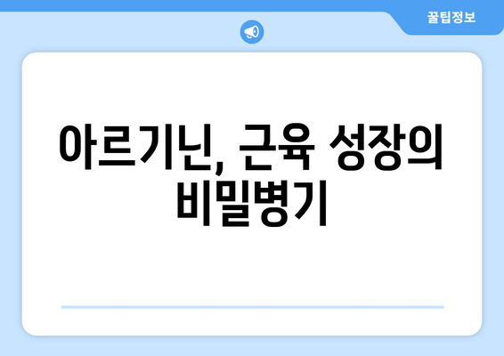 운동체력 향상을 위한 아르기닌 효과 및 복용 가이드 | 근육 성장, 지구력 향상, 회복 촉진