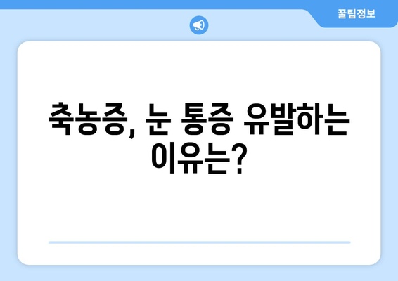 축농증, 눈 통증 유발하는 이유? 원인과 증상, 해결책 알아보기 | 부비동염, 눈 통증, 치료