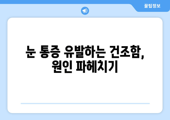 눈 통증과 건조함, 뗄레야 뗄 수 없는 관계? | 눈 건강, 원인 분석, 해결 방안