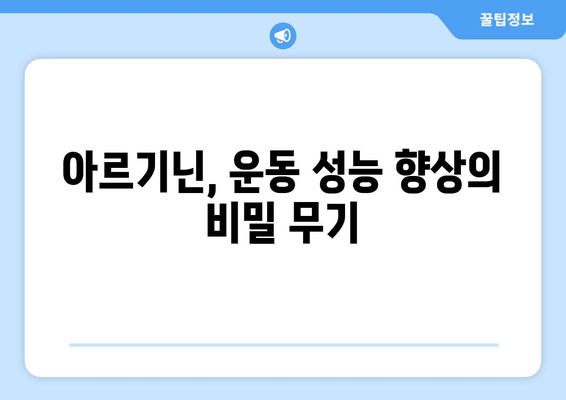 아르기닌으로 운동 효율성 극대화하기| 근력 증진, 회복 촉진, 지구력 향상 | 아르기닌, 운동 보충제, 운동 성능 향상