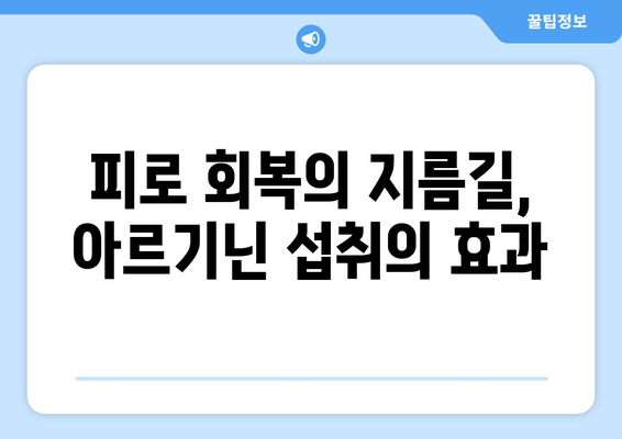 운동 전 퍼포먼스 UP! 아르기닌 추천 & 효과적인 섭취 방법 | 근력 운동, 지구력 향상, 피로 회복