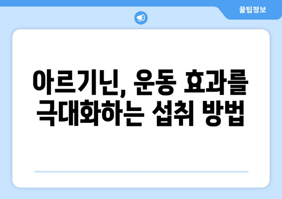 운동 전 퍼포먼스 UP! 아르기닌 추천 & 효과적인 섭취 방법 | 근력 운동, 지구력 향상, 피로 회복