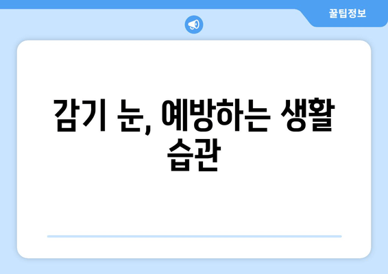 감기눈, 왜 생길까? 원인과 눈 건강 관리법 | 눈 건강, 감기, 컨디션 관리, 눈 관리 팁