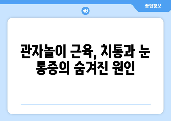 치통, 눈썹, 눈 뒤 통증의 원인? 관자놀이 근육의 영향 | 두통, 측두근, 통증 완화