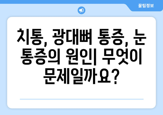 치통, 광대뼈 통증, 그리고 눈 통증| 원인과 해결책 알아보기 | 두통, 안면 통증, 치과 질환