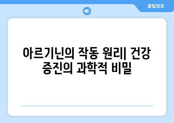 아르기닌의 놀라운 효능과 작동 원리| 건강과 운동 성능 향상의 비밀 | 아르기닌, 건강, 운동, 혈관, 면역, 성장 호르몬