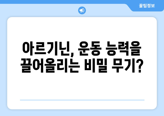 운동 성능 향상을 위한 아르기닌 부스터| 효과, 복용법, 주의 사항 | 아르기닌, 운동, 근육 성장, 지구력, 혈류 개선