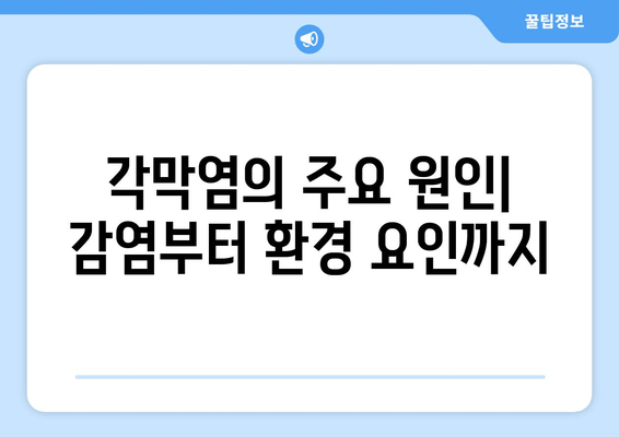 성남에서 알려주는 각막염| 원인과 치료법 완벽 가이드 | 눈 건강, 안과 질환, 증상, 예방