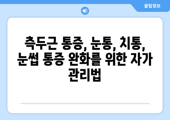 측두근 통증, 눈통, 치통, 눈썹 통증| 원인과 해결책 | 두통, 안면 통증, 신경통