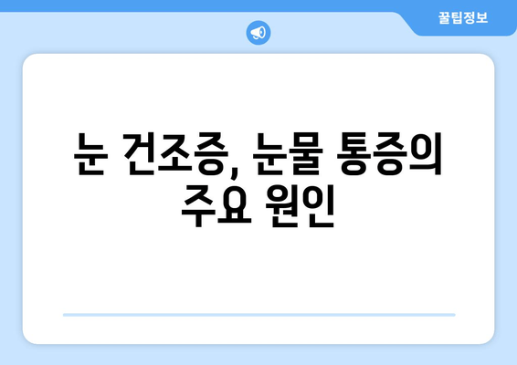 눈물 흘릴 때 생기는 통증, 왜 그럴까요? 원인과 대처법 총정리 | 눈물 통증, 눈물샘 염증, 눈 건조증, 눈물샘 막힘