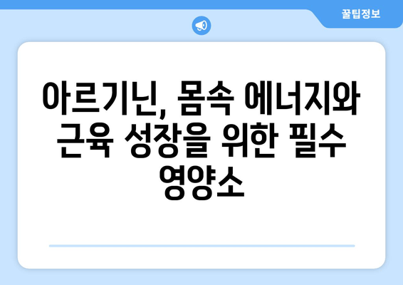 아르기닌 효능과 부작용, 제대로 알고 건강하게 챙기는 방법 | 아르기닌, 건강, 영양, 운동, 섭취, 주의 사항