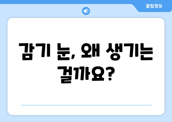 감기눈, 왜 생길까? 원인과 눈 건강 관리법 | 눈 건강, 감기, 컨디션 관리, 눈 관리 팁