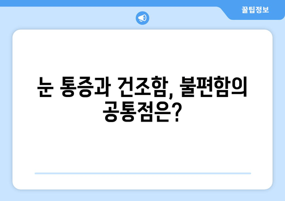 눈 통증과 건조함, 뗄레야 뗄 수 없는 관계? | 눈 건강, 원인 분석, 해결 방안