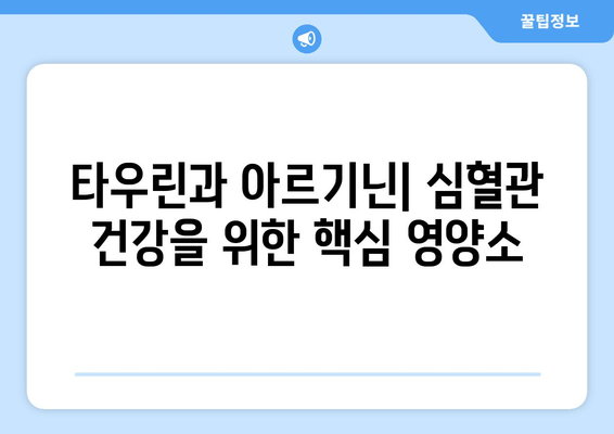 순환계 건강을 위한 영양 솔루션| 전복과 타우린-아르기닌 풍부 식단 | 건강, 심혈관, 영양, 레시피