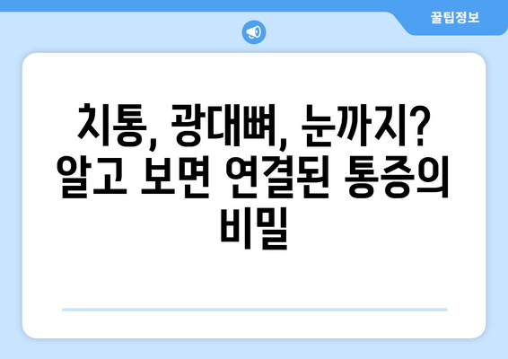 치통, 광대뼈 통증, 눈통증| 연결된 통증의 비밀 | 신경통, 턱관절, 두통, 원인, 치료