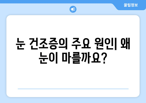 눈 건조증, 이제 걱정 끝! 원인과 관리 방법 완벽 가이드 | 눈 건강, 안구 건조증, 눈 관리 팁