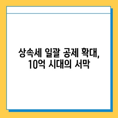 상속세 일괄 공제 5억 → 10억 상향 제안|  주요 내용 및 영향 분석 | 상속세, 재산세, 세금 개편, 부동산