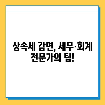 상속세 5억원을 14만원으로? 🤯  세무·회계 팁으로 상속세 감면 비결 파헤치기 | 상속세 절세, 상속세 계산, 상속세 신고