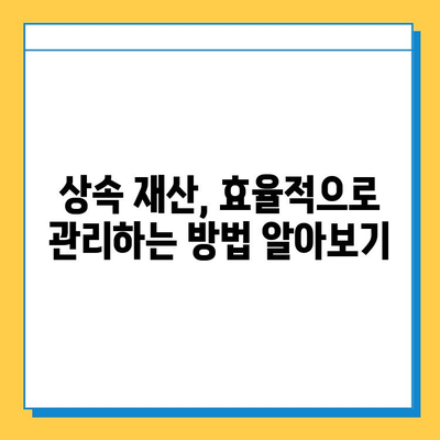 상속세 일괄공제 5억원에서 10억원으로 인상! 달라지는 상속세, 꼼꼼히 알아보세요 | 상속세, 상속, 증여, 재산세, 세금