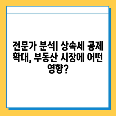 자녀 상속세 공제 5억원이 부동산 시장에 미치는 영향| 전문가 분석 | 상속세, 부동산, 투자, 시장 전망