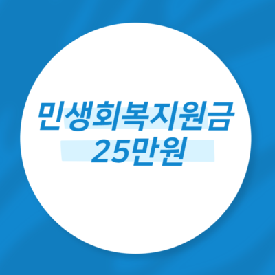 민생회복지원금 25만원