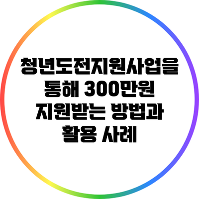 청년도전지원사업을 통해 300만원 지원받는 방법과 활용 사례