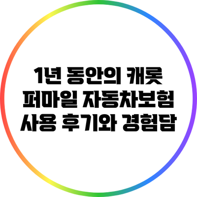 1년 동안의 캐롯 퍼마일 자동차보험 사용 후기와 경험담