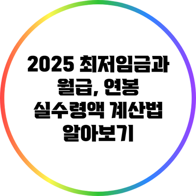 2025 최저임금과 월급, 연봉 실수령액 계산법 알아보기